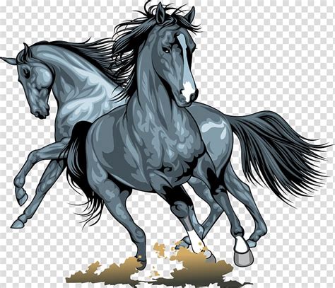 wild horse clipart|Wild Horse Clipart Images .